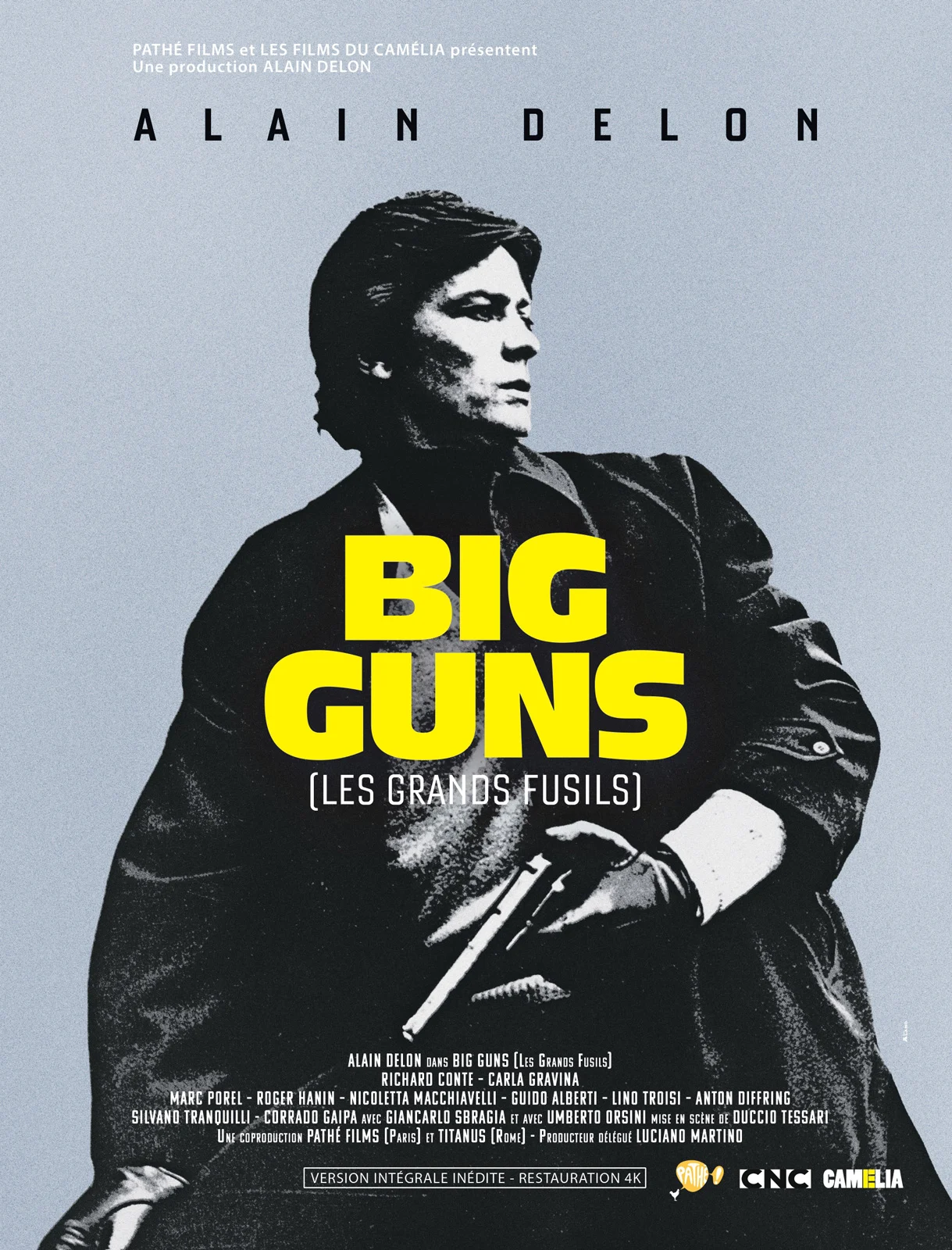 Affiche du film Big Guns